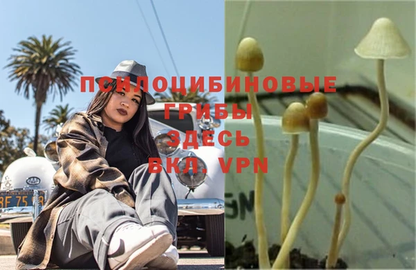 мет Верхний Тагил