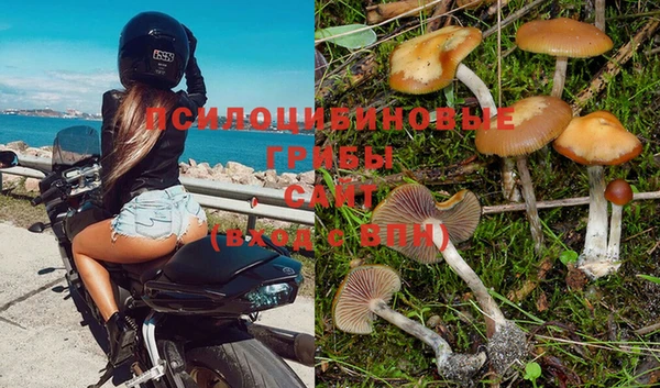 мет Верхний Тагил